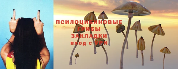 твердый Волоколамск