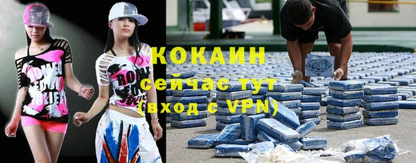 сатива Строитель